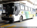 Empresa Gontijo de Transportes 10150 na cidade de São Bernardo do Campo, São Paulo, Brasil, por Ricardo Liberino. Número da foto: #58186.