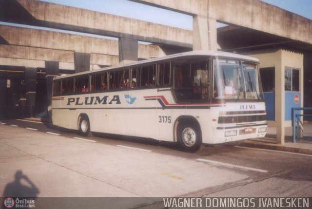 Pluma Conforto e Turismo 3175 na cidade de Curitiba, Paraná, Brasil, por Wagner Domingos Ivanesken. ID da foto: 695.