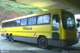 Viação Itapemirim 24123 na cidade de Muriaé, Minas Gerais, Brasil, por Diego Almeida Araujo. Número da foto: #9681.