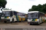 Empresa Gontijo de Transportes 3060 na cidade de Almenara, Minas Gerais, Brasil, por Sérgio Augusto Braga Canuto. Número da foto: #10028.