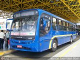 Auto Omnibus Circullare 9999 na cidade de Poços de Caldas, Minas Gerais, Brasil, por Marcio V Boas. Número da foto: #21303.