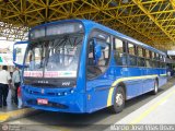 Auto Omnibus Circullare 9999 na cidade de Poços de Caldas, Minas Gerais, Brasil, por Marcio V Boas. ID da foto: :id.