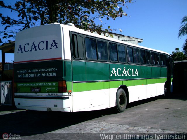 Acácia Turismo 09 na cidade de Guaratuba, Paraná, Brasil, por Wagner Domingos Ivanesken. ID da foto: 29468.