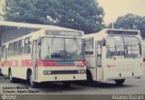 Viação São Camilo 23 245 na cidade de São Paulo, São Paulo, Brasil, por Adamo Bazani. Número da foto: #31613.